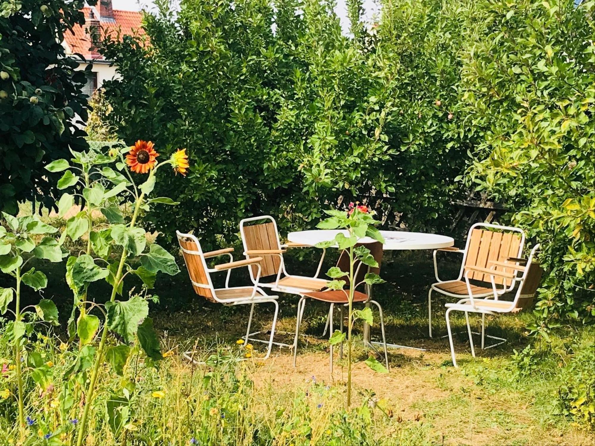 Casa Marcu Wohung 1 OG Apartment Landkirchen Bagian luar foto